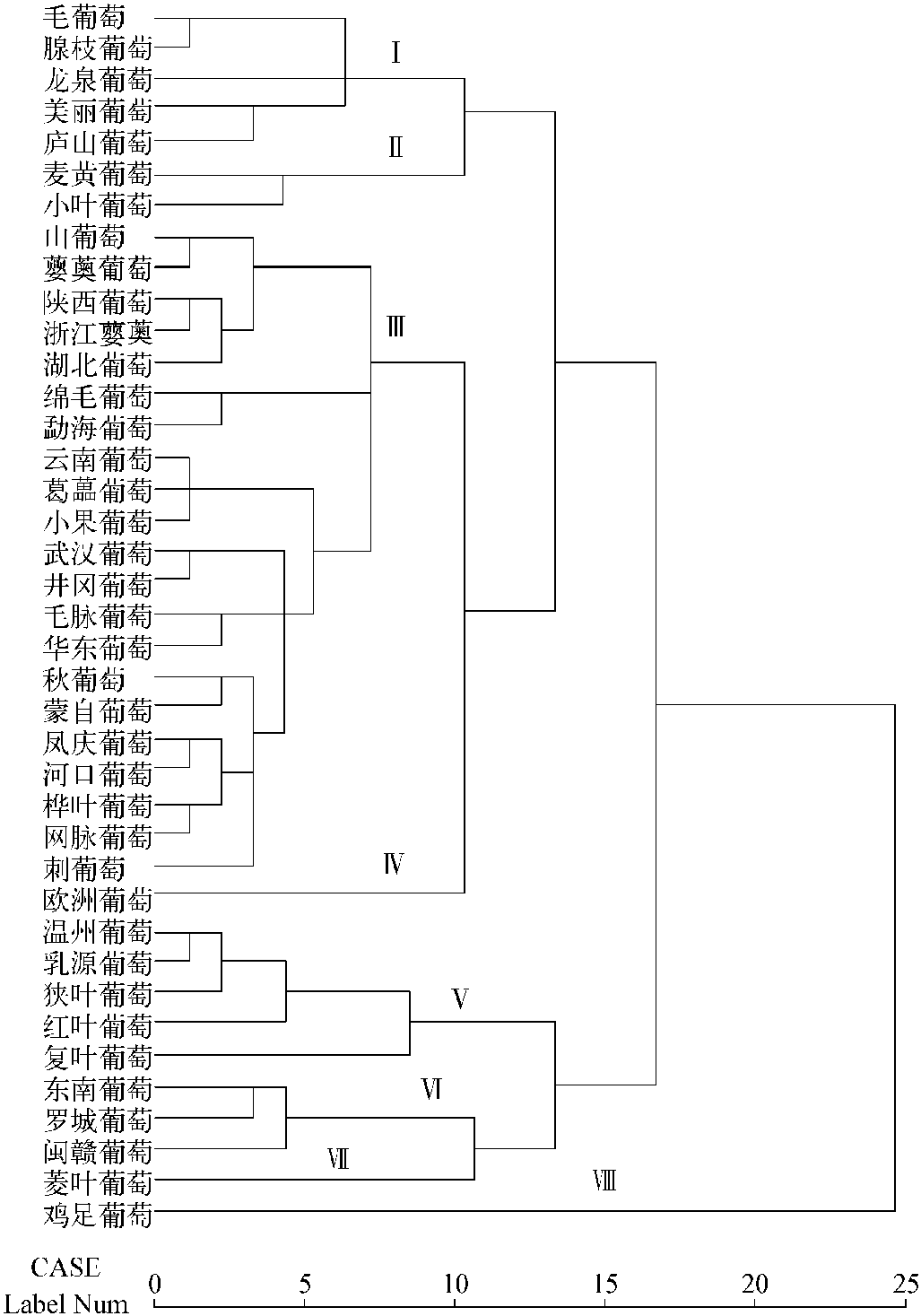 1.1.2 我国葡萄属植物形态学聚类分析